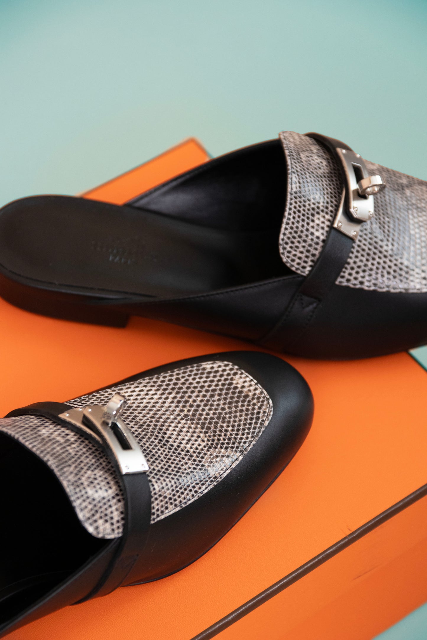 Hermès Oz Mules in Lizard Ombré/Black PHW