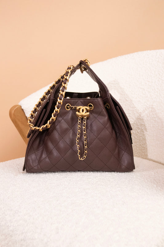 Chanel Hobo 25 Brown Bag