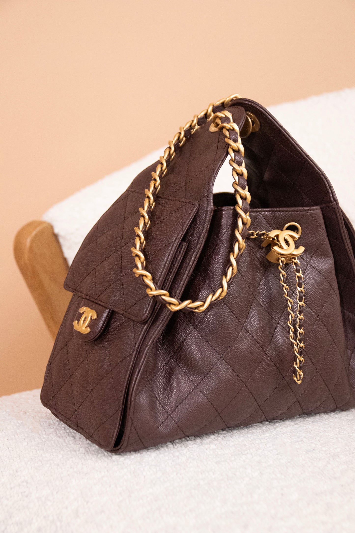 Chanel Hobo 25 Brown Bag