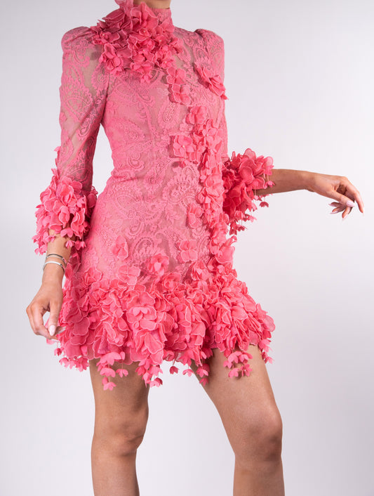 Zimmermann Lace Mini Dress in Guava