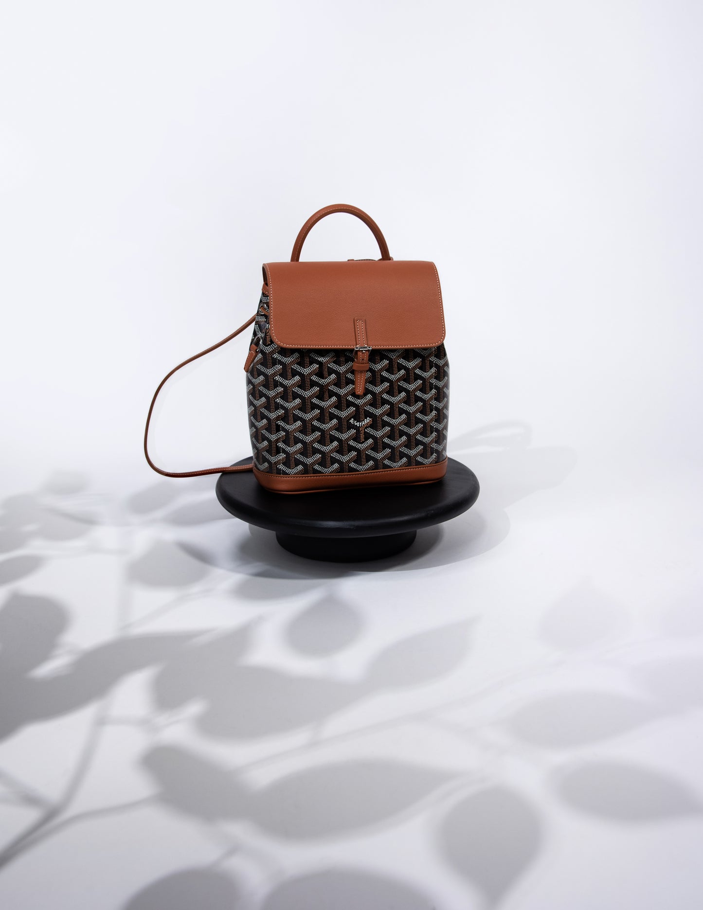 Goyard Alpin Mini Backpack Black & Tan