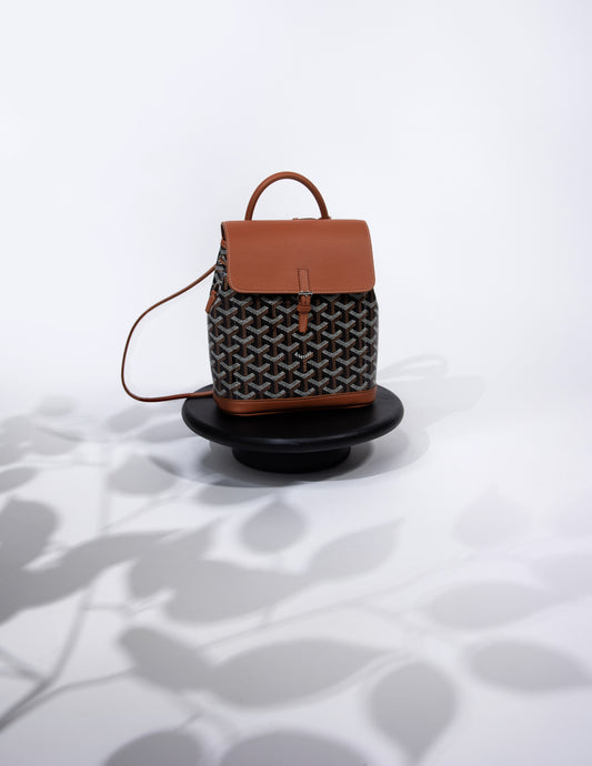 Goyard Alpin Mini Backpack Black & Tan