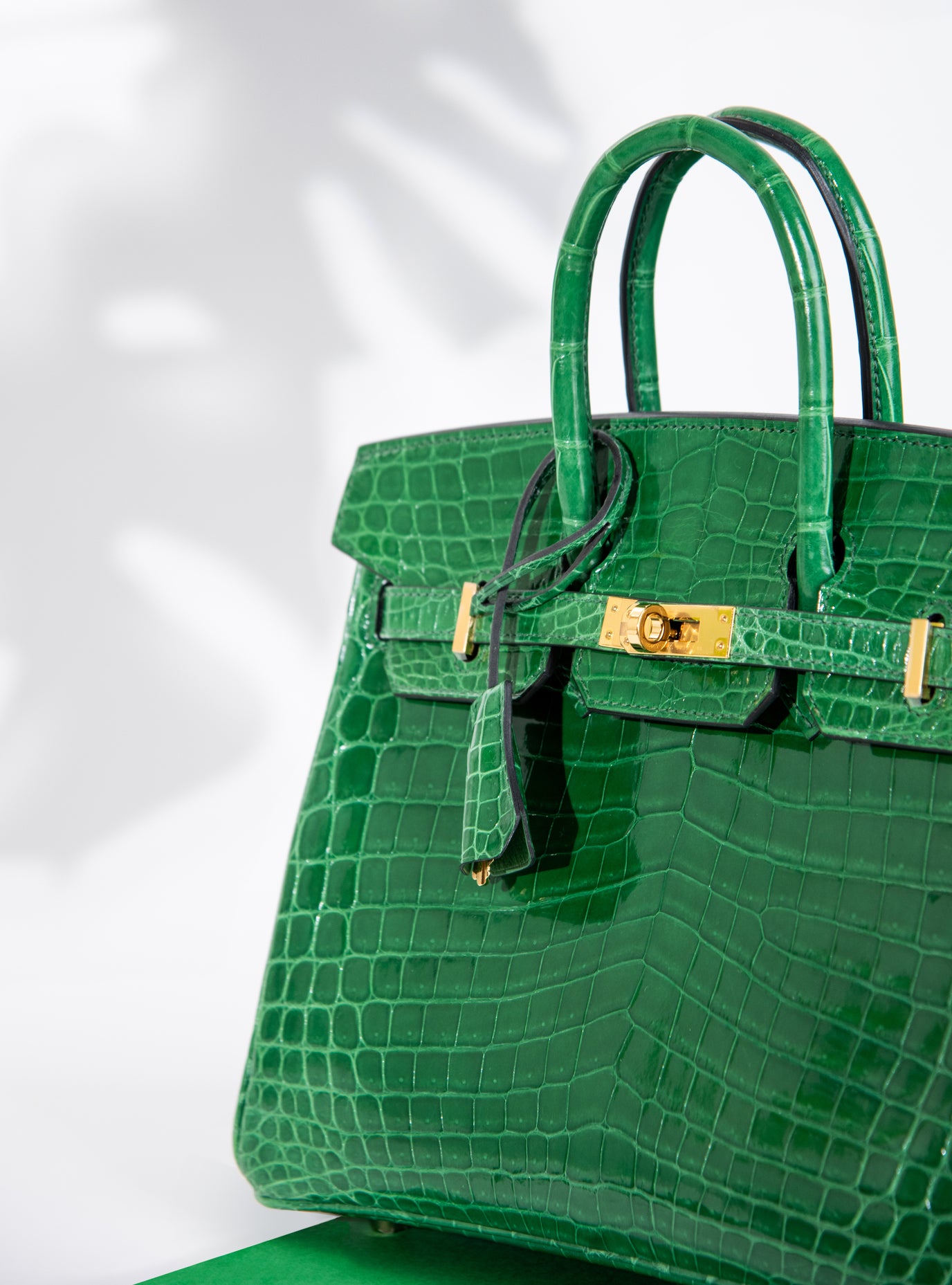 Hermès Birkin 25 Shiny Crocodile in Cactus GHW