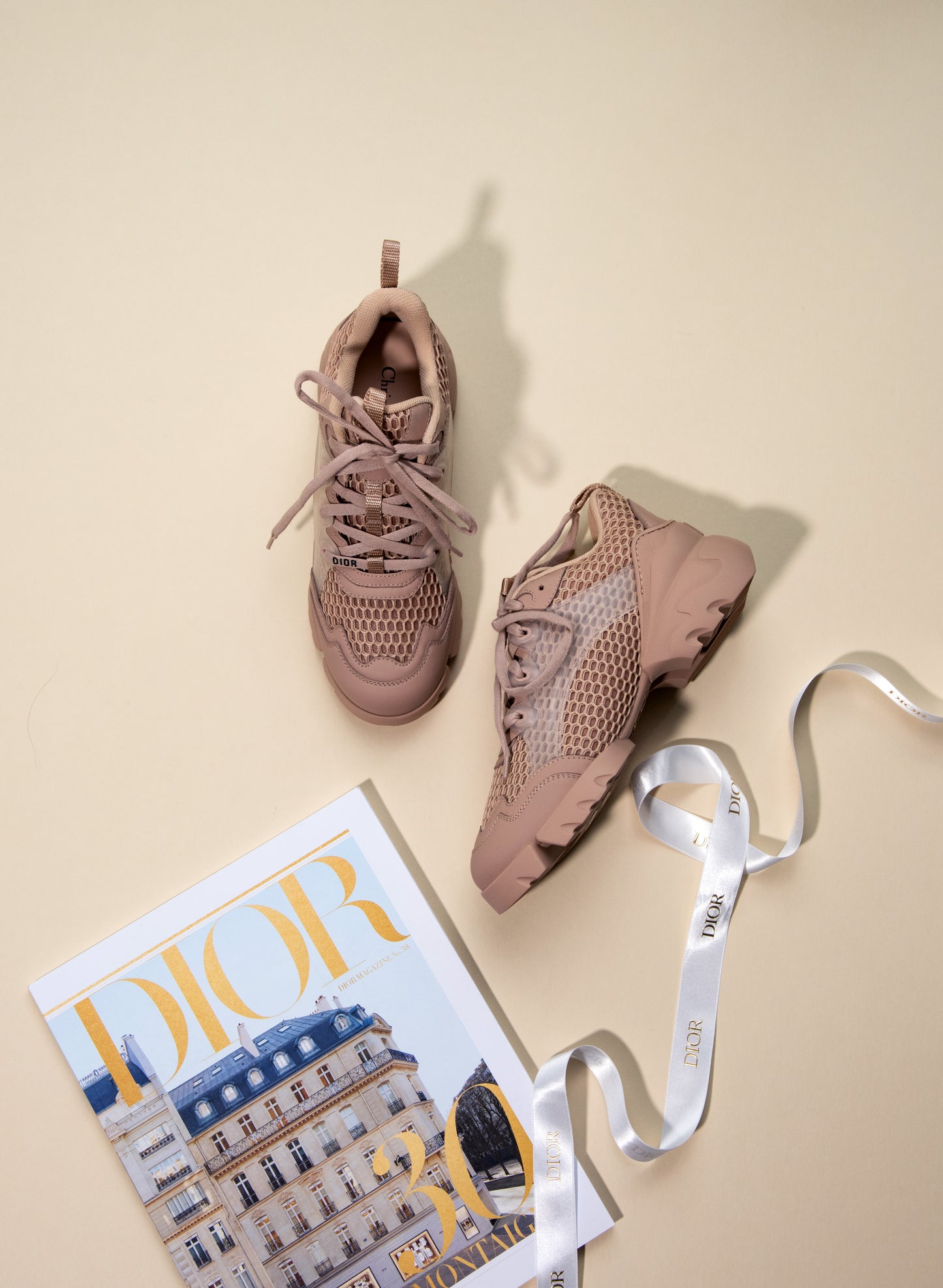 Dior D-Connect Sneakers in Nude & Black