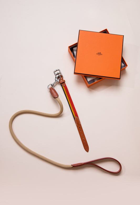 Hermès Dog Leash & Collar