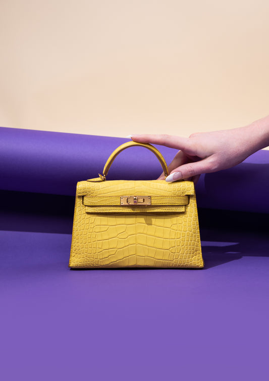 Hermès Mini Kelly Matte Alligator Bag in Mimosa GHW