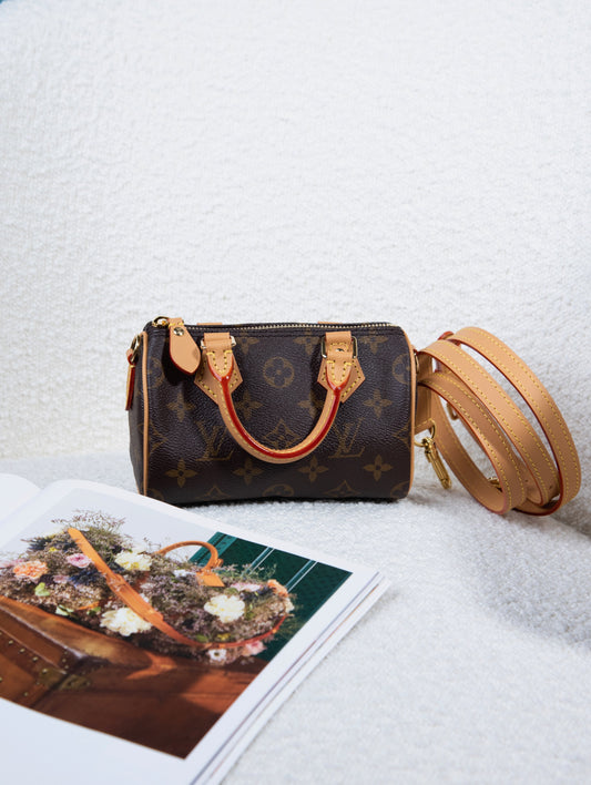 Louis Vuitton Monogram Nano Speedy Bag