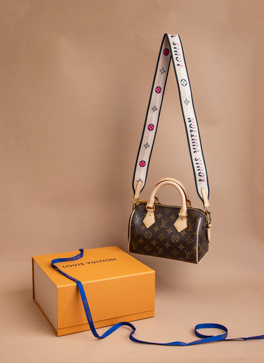 Louis Vuitton Speedy 20 Limited Edition