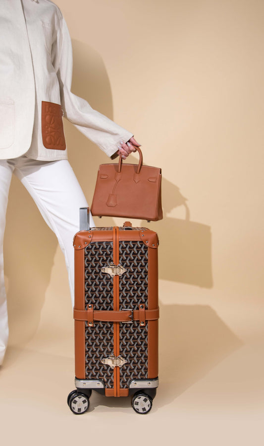 Hermès Birkin 25 Shadow with Goyard Bourget PM Trolly Case