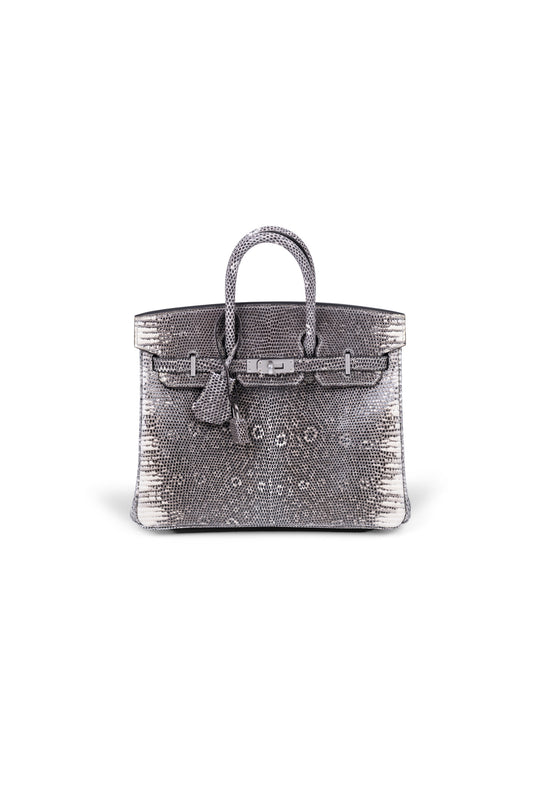 Hermès Super Rare Ombre Lizard Birkin 25 CM