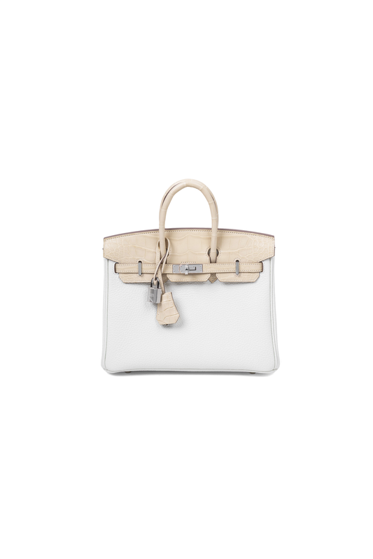 Hermès Birkin 25 Togo Touch Matte Alligator in Mushroom & Vanilla