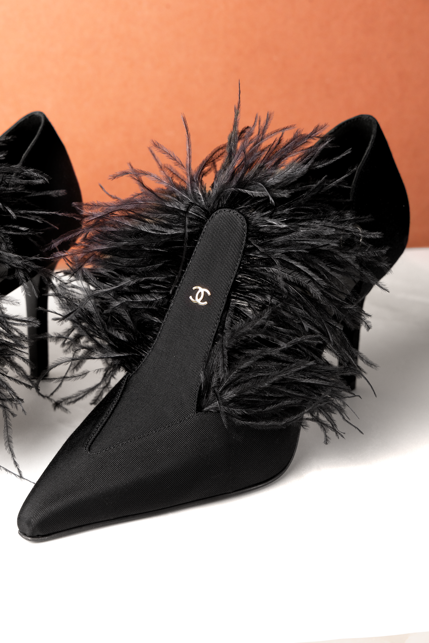 Chanel Mary Janes Grosgrain & Feathers in Black