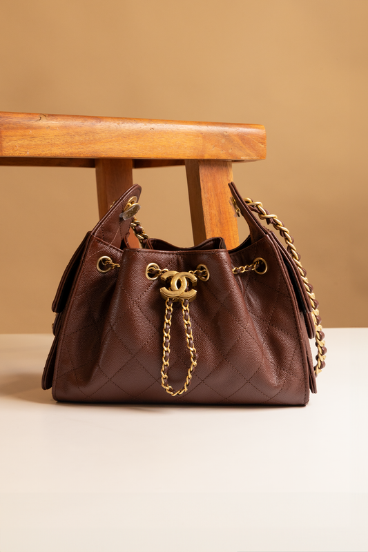 Chanel Mini Hobo 25 Bag in Brown