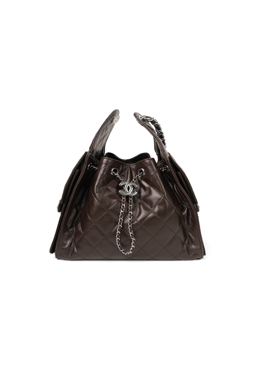Chanel Small Hobo 25 Bag in Dark Brown
