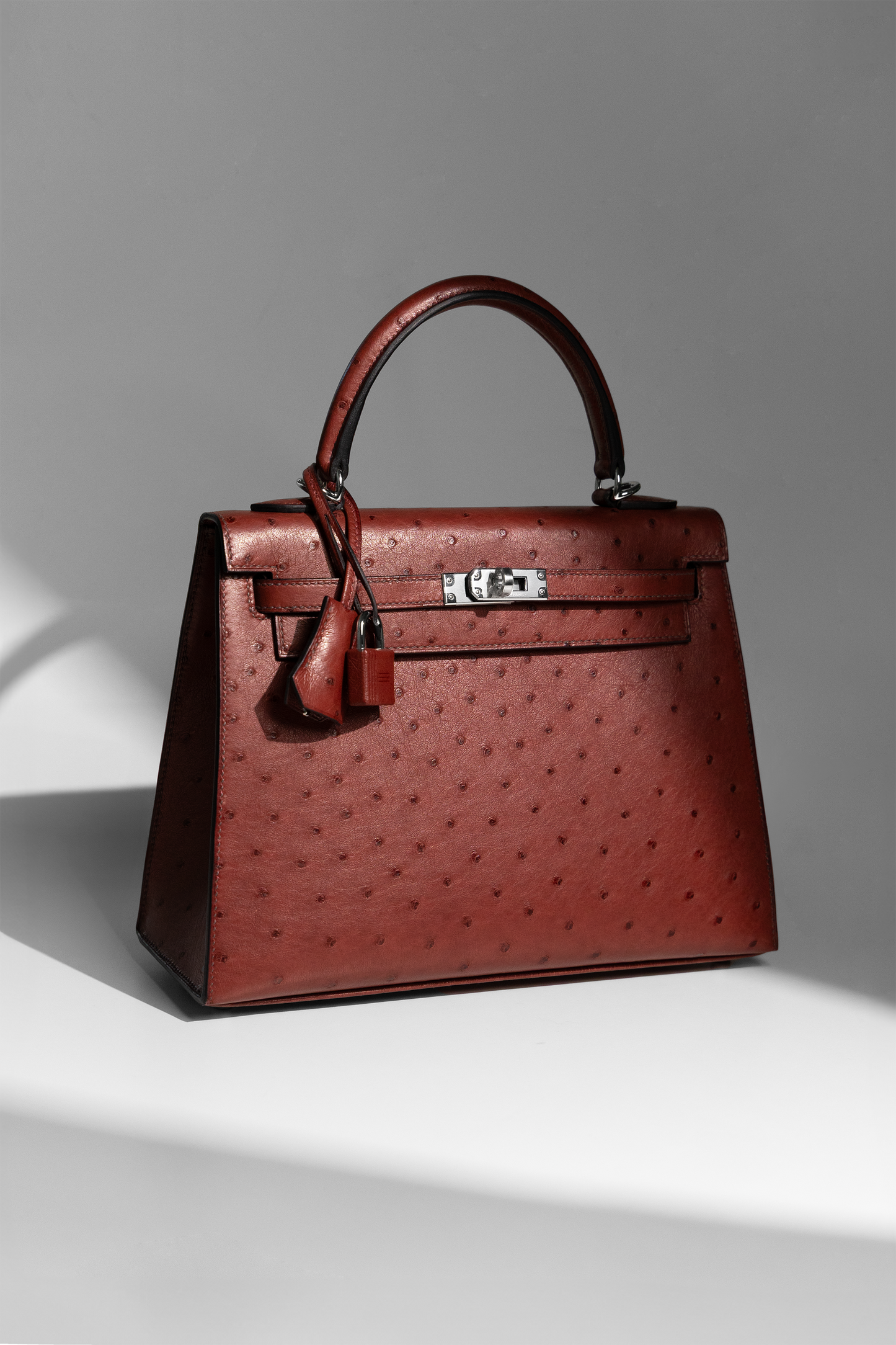 Hermès Kelly 25 Ostrich in Rouge H PHW