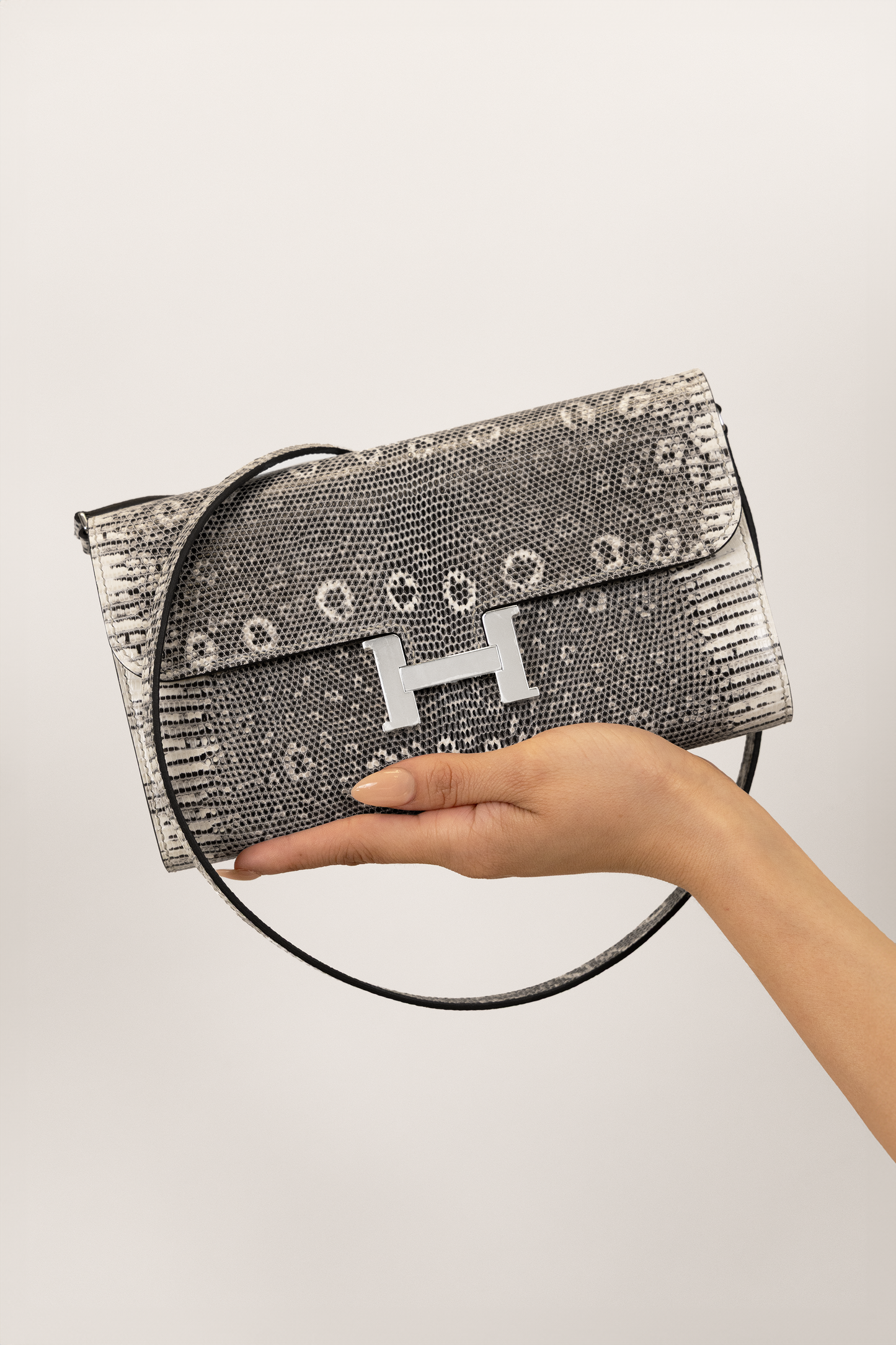 Hermès Constance Wallet To Go in Ombré Lizard PHW