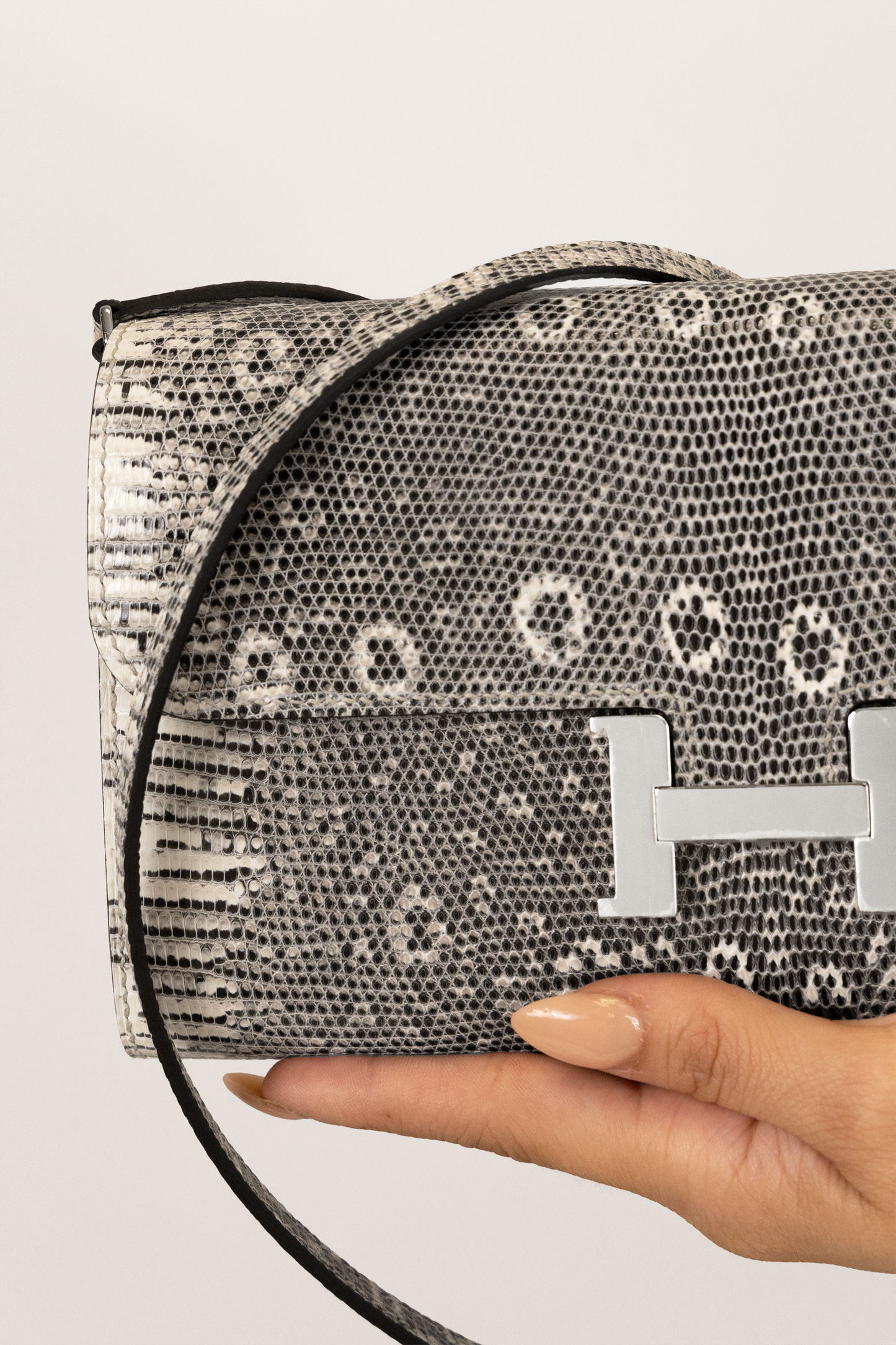 Hermès Constance Wallet To Go in Ombré Lizard PHW
