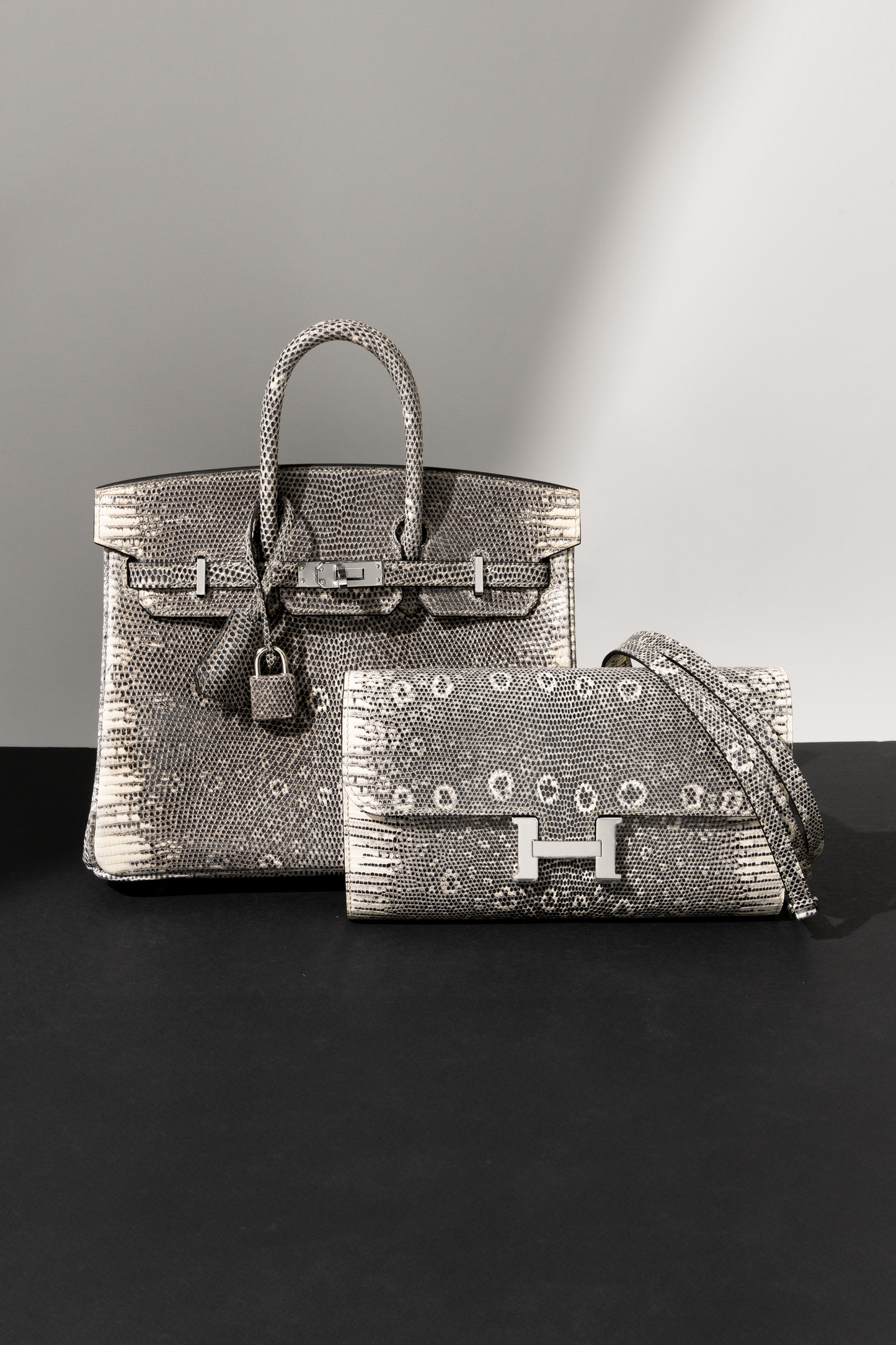 Hermès Birkin 25 & Constance Wallet To Go in Ombré Lizard PHW