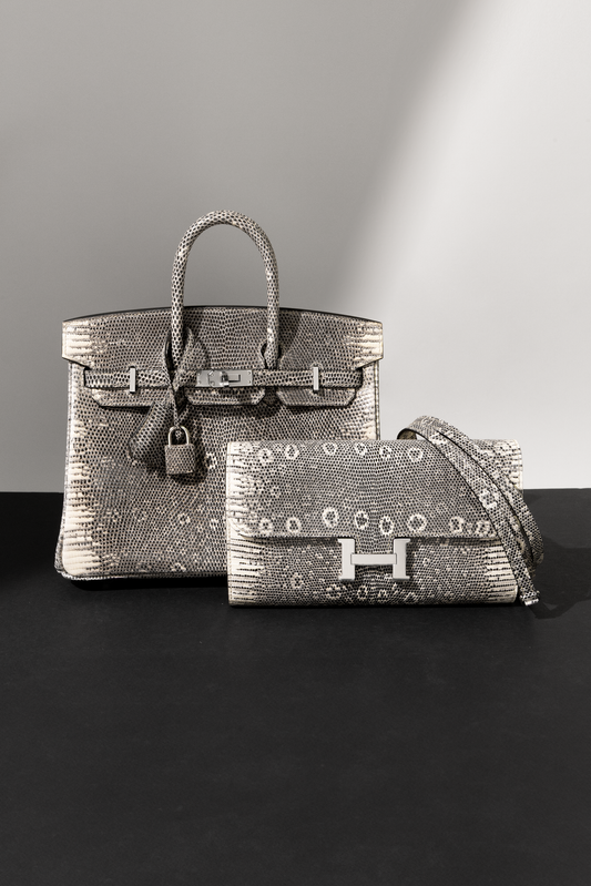Hermès Birkin 25 & Constance Wallet To Go in Ombré Lizard PHW