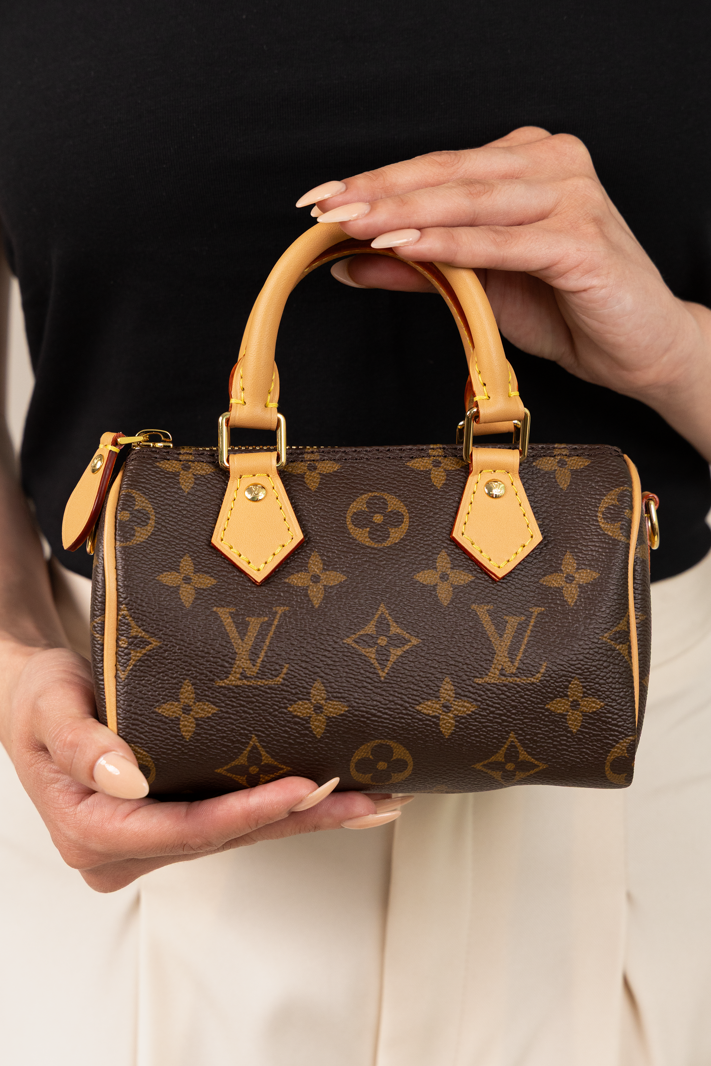 Louis Vuitton Monogram Nano Speedy