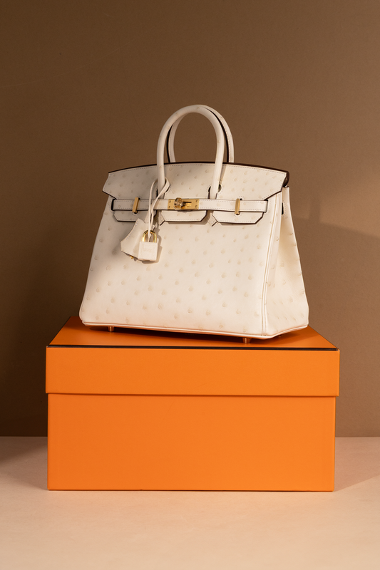 Hermès Birkin 25 Ostrich Nata GHW