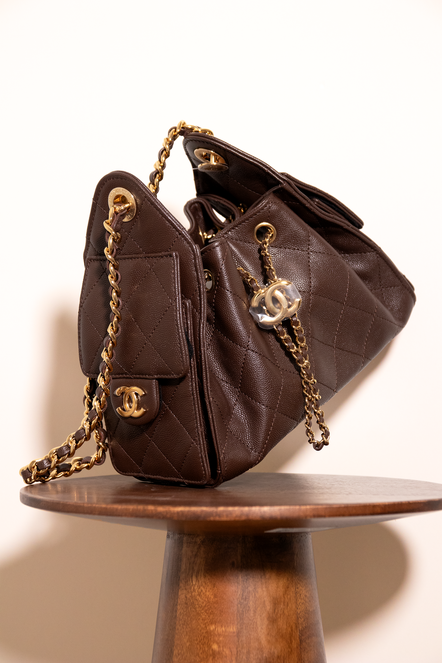 Chanel Mini Hobo 25 Bag in Brown