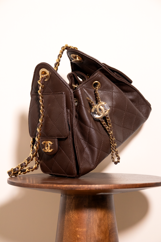 Chanel Mini Hobo 25 Bag in Brown