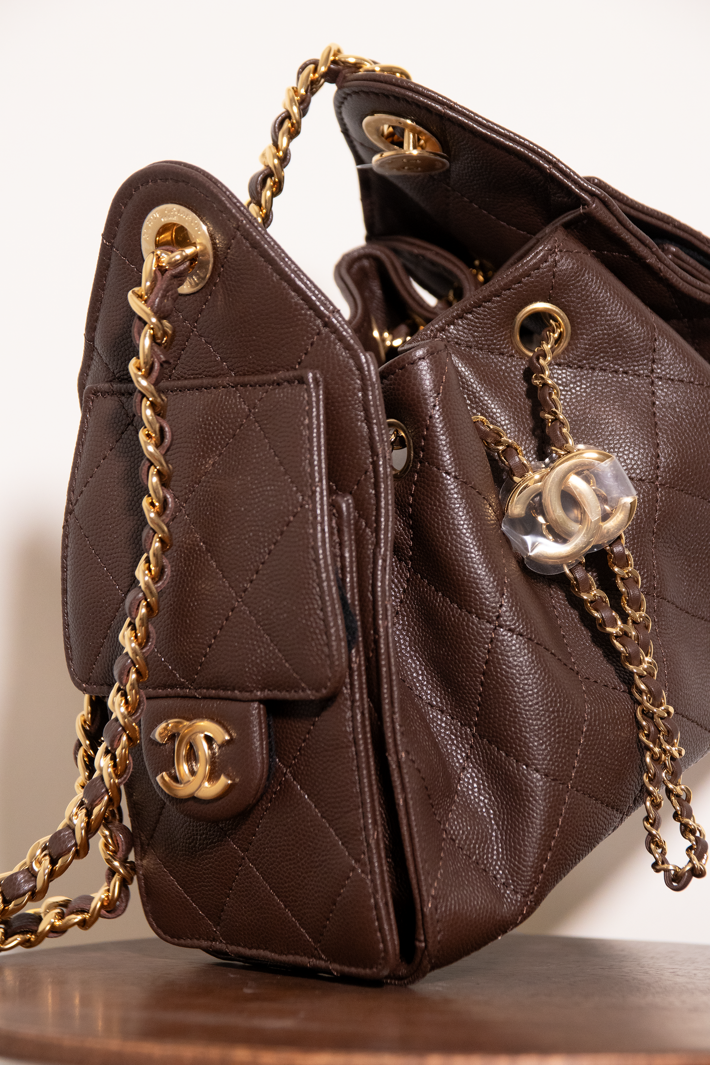Chanel Mini Hobo 25 Bag in Brown