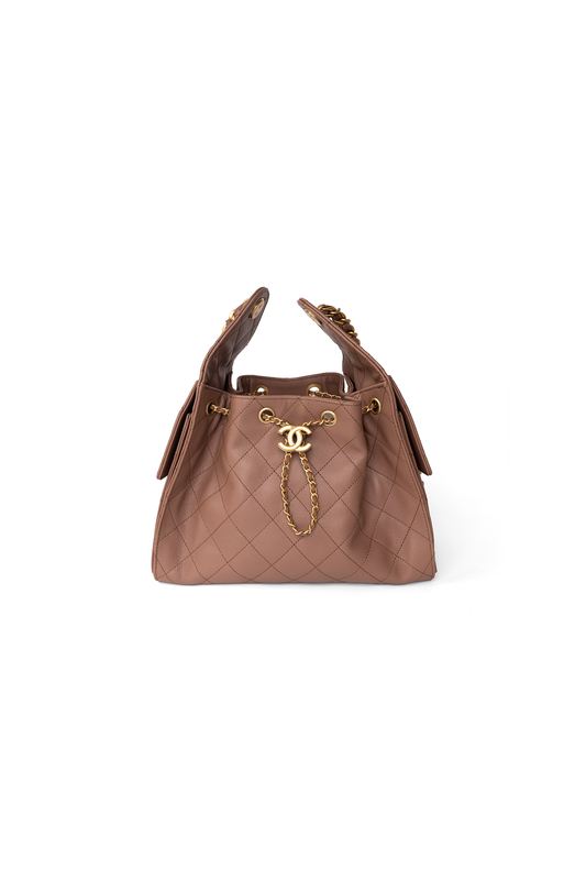 Chanel Small Hobo 25 Bag in Mocha