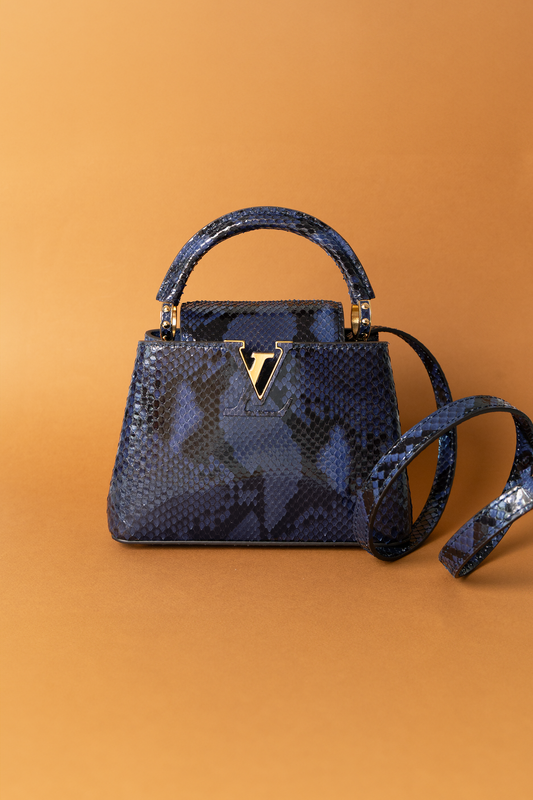 Louis Vuitton Mini Capucine in Blue/Black Python