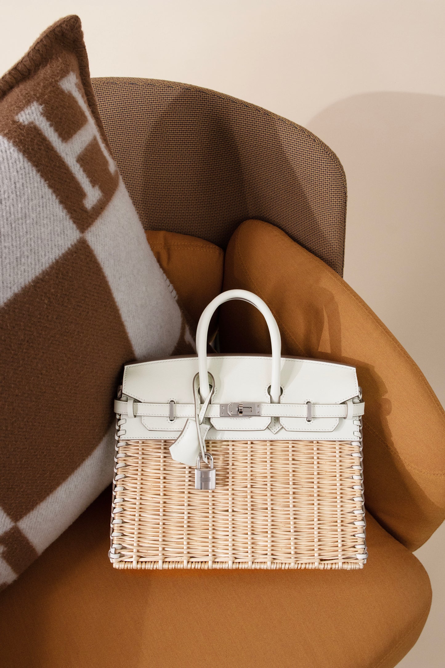 Hermès Birkin Picnic 25 in Mushroom PHW