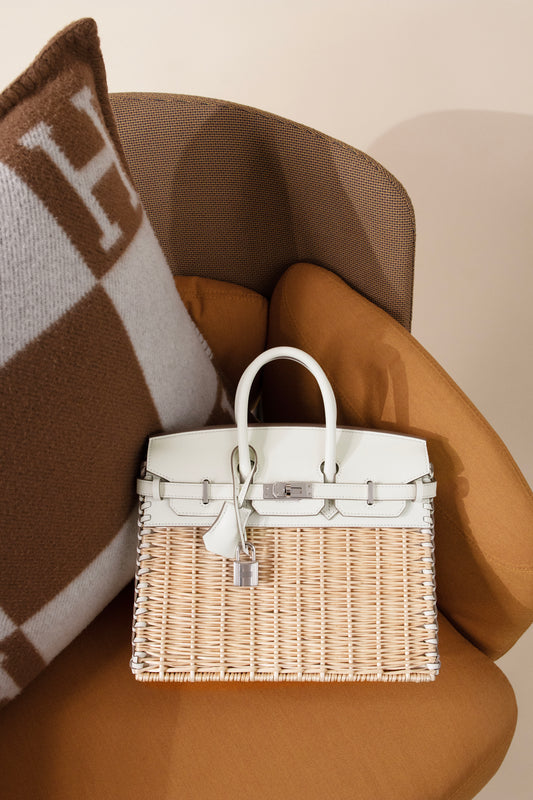 Hermès Birkin Picnic 25 in Mushroom PHW