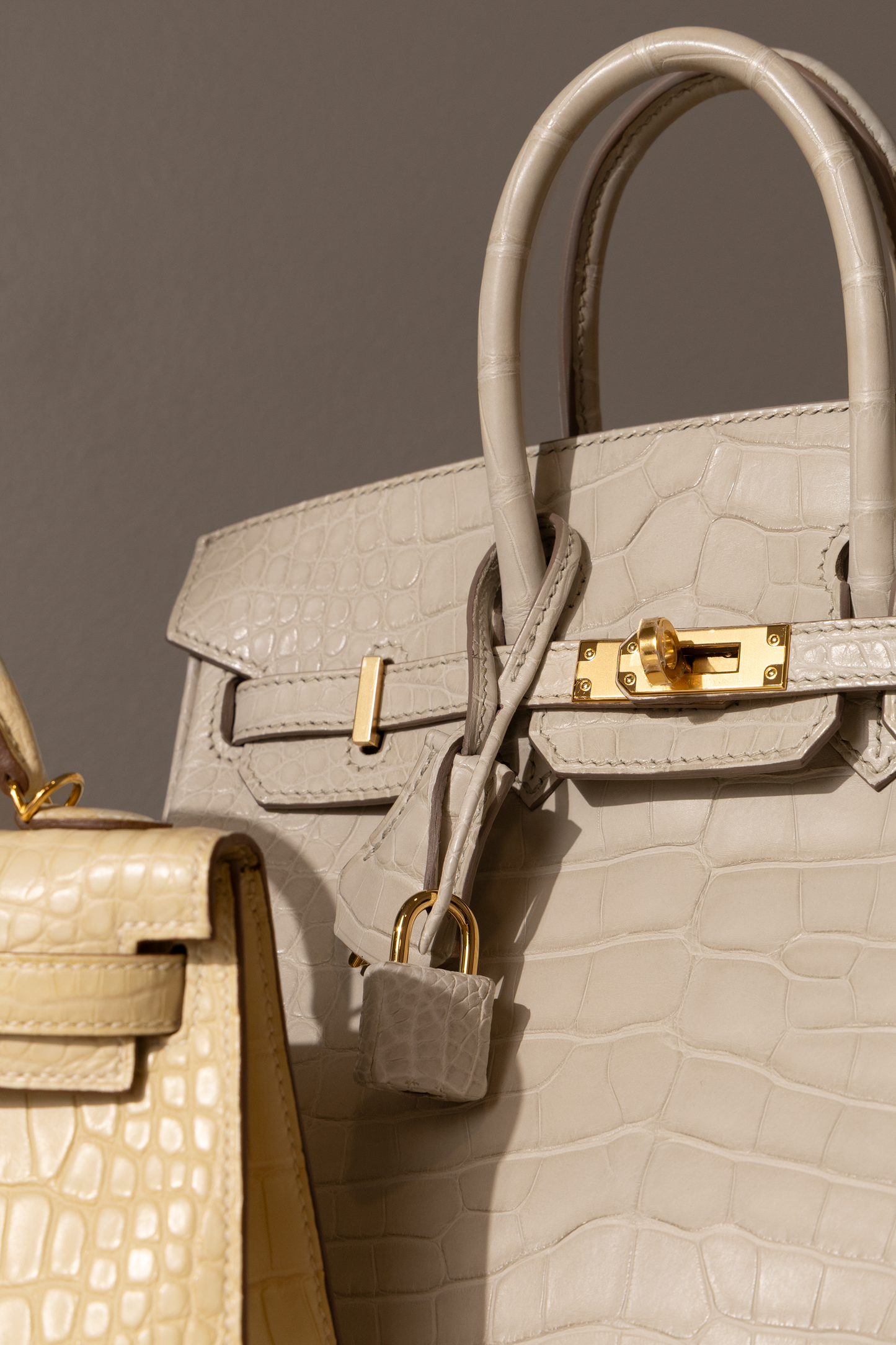 Hermès Birkin 25 Matte Crocodile Beton GHW & Mini Kelly 20 Matte Alligator Vanilla GHW