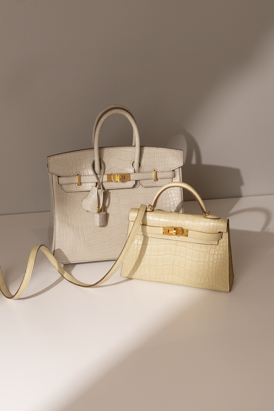 Hermès Birkin 25 Matte Crocodile Beton GHW & Mini Kelly 20 Matte Alligator Vanilla GHW