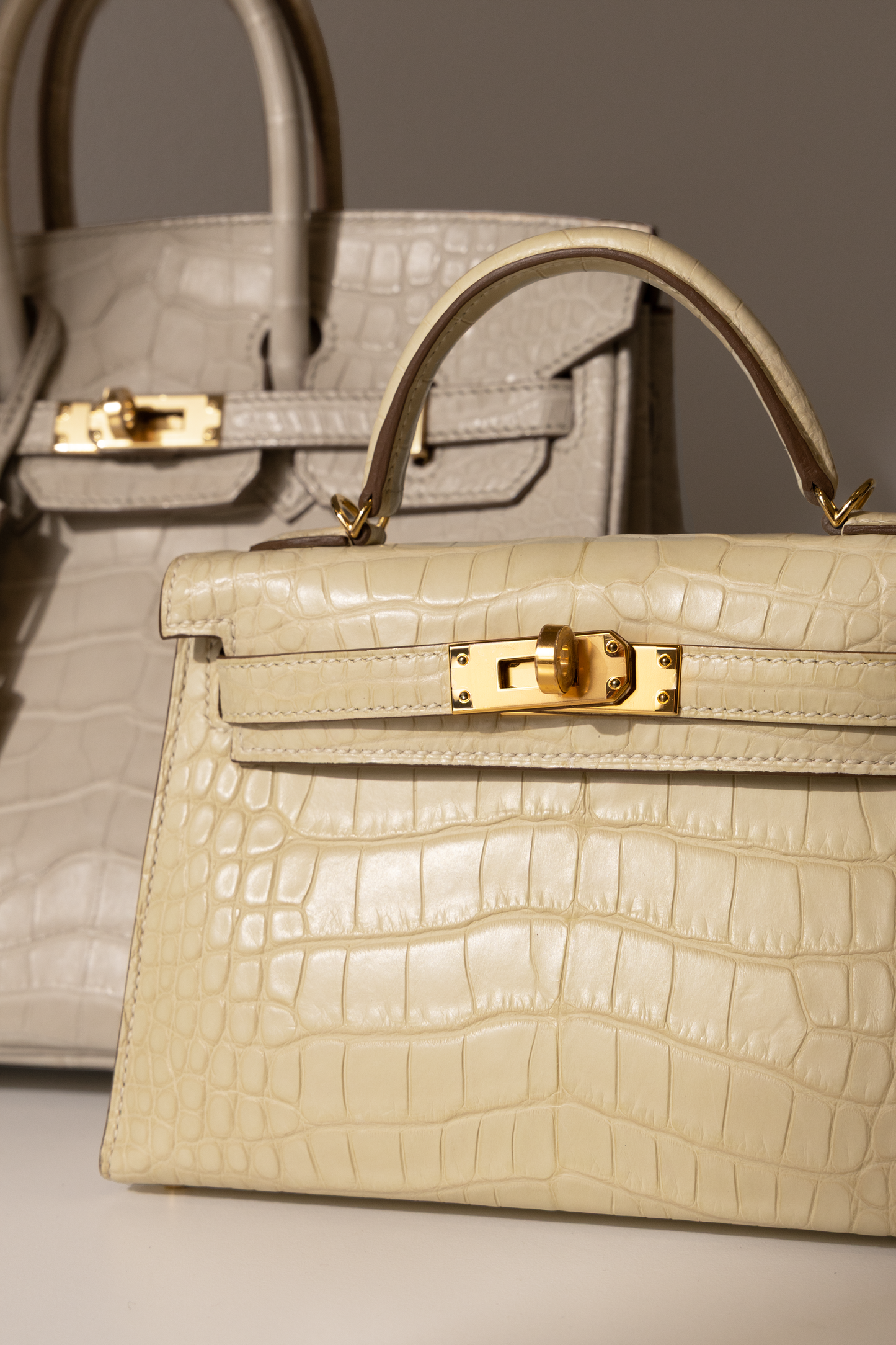 Hermès Birkin 25 Matte Crocodile Beton GHW & Mini Kelly 20 Matte Alligator Vanilla GHW