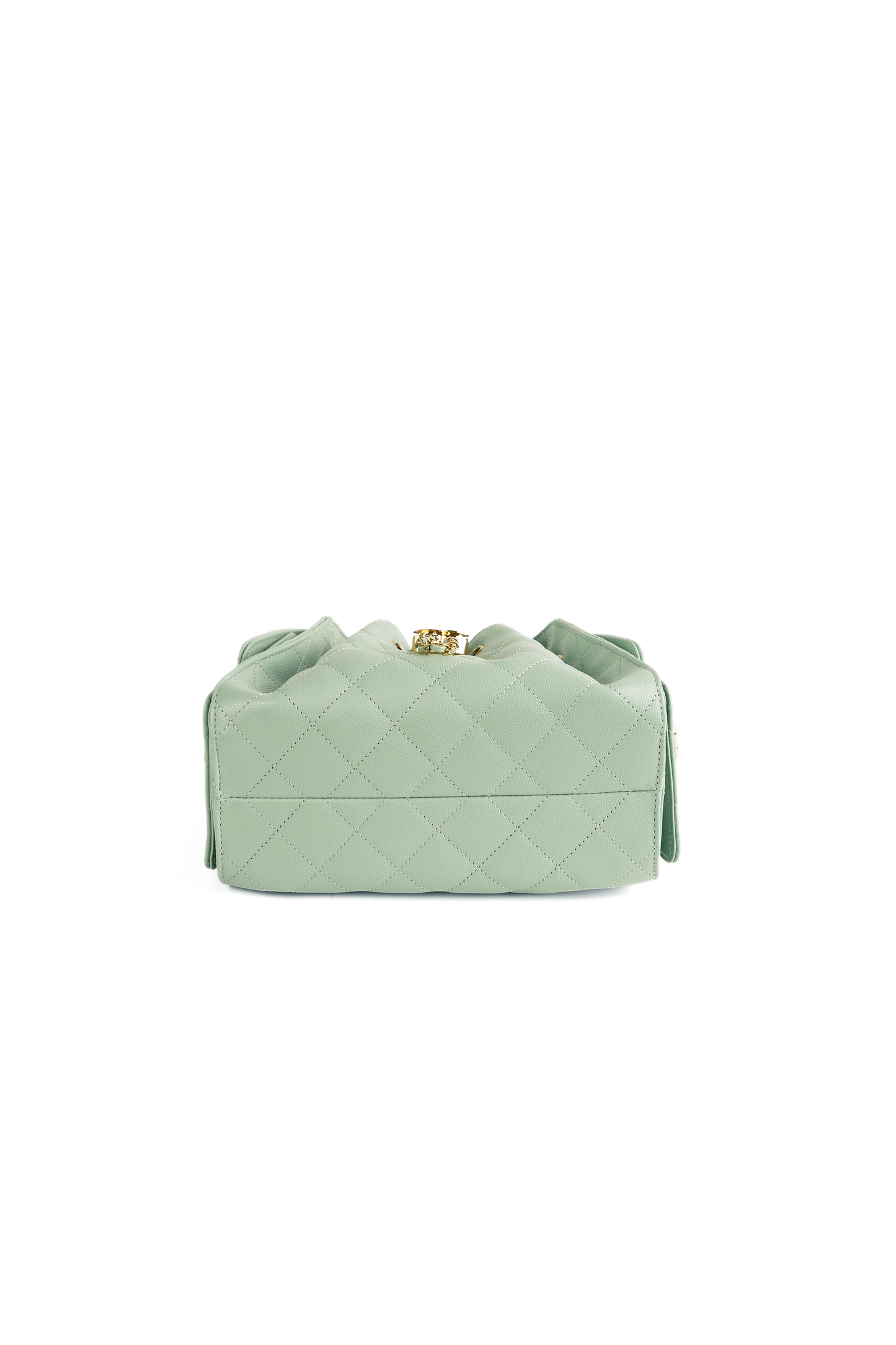 Chanel Mini Hobo 25 in Light Green