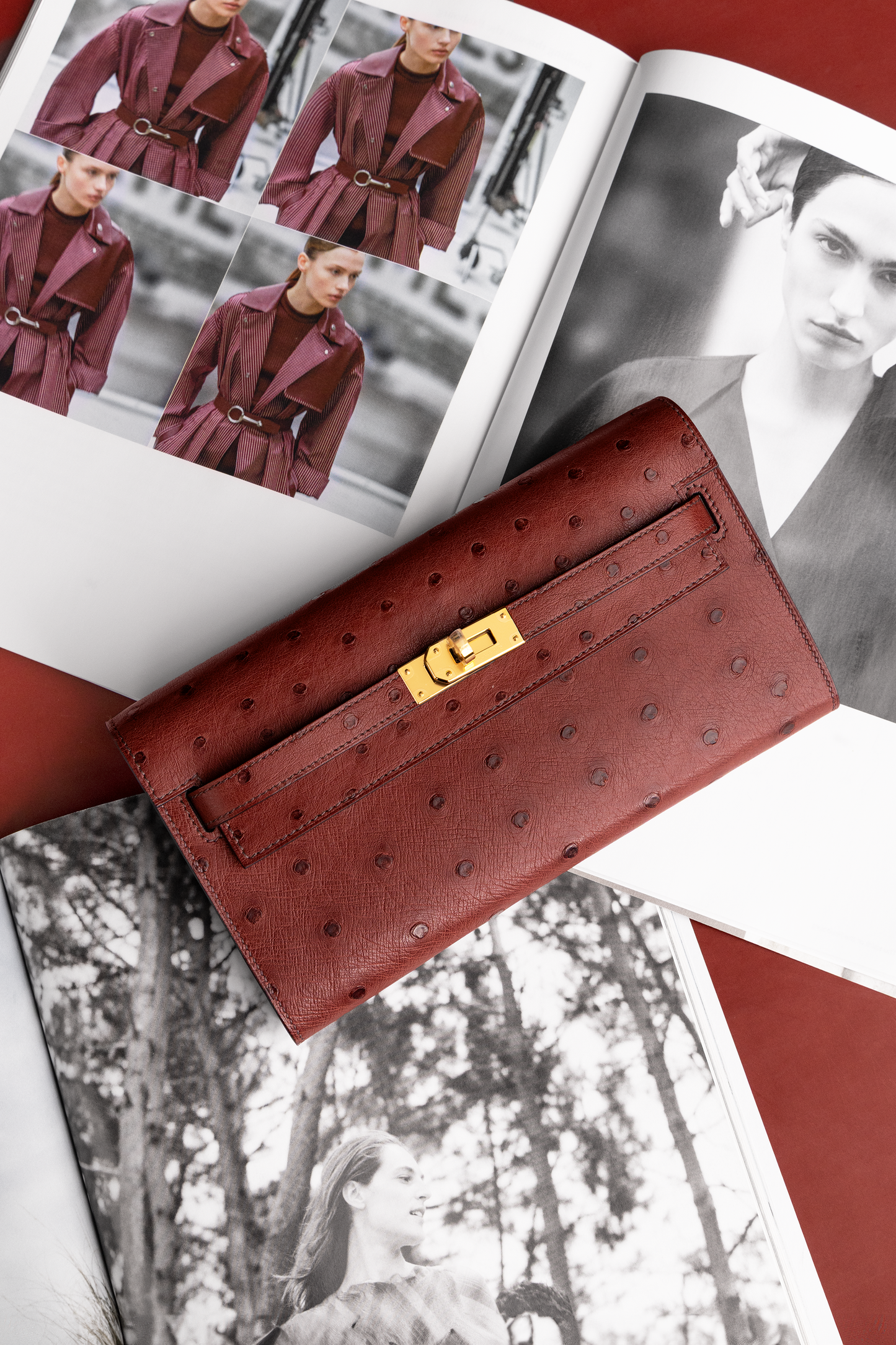 Hermès Kelly Wallet To Go Ostrich in Rouge H GHW