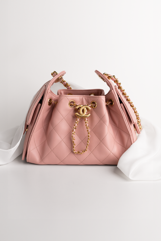 Chanel Mini Hobo 25 Bag in Light Pink