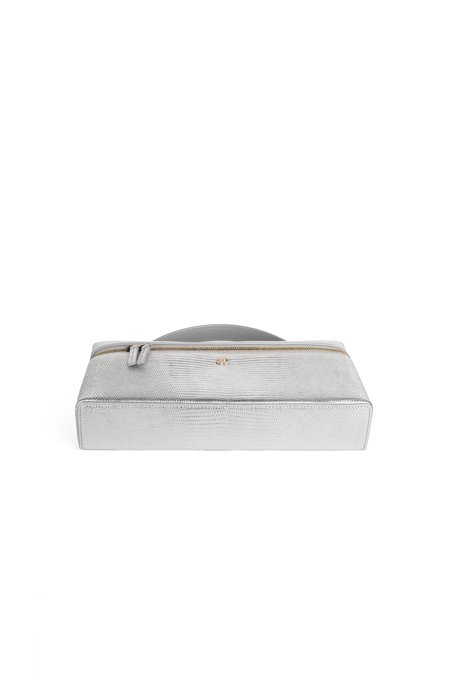 Chanel Lizard Vanity with Chain in Metallic Silver