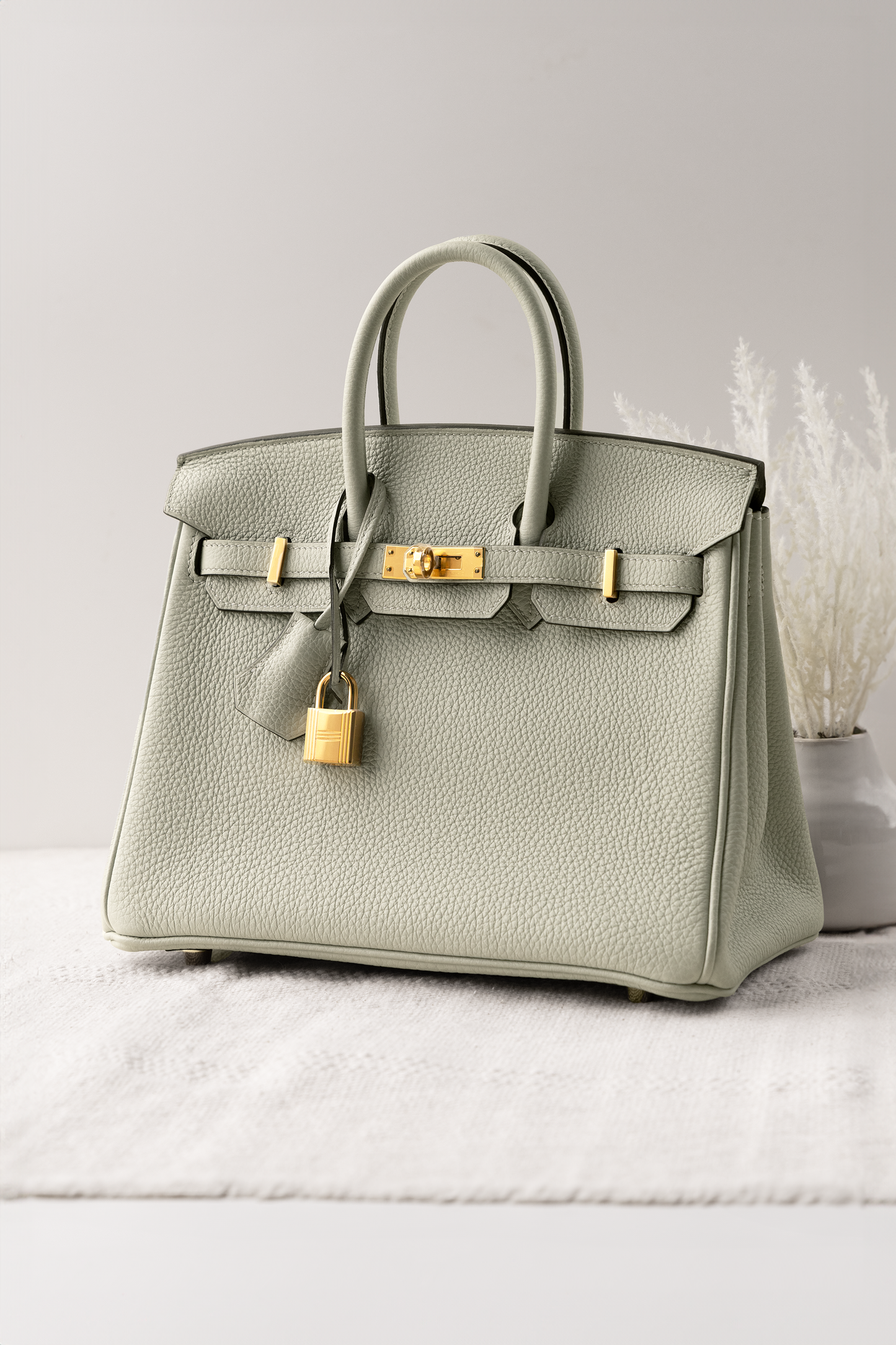 Hermès Birkin 25 Togo Gris Neve GHW