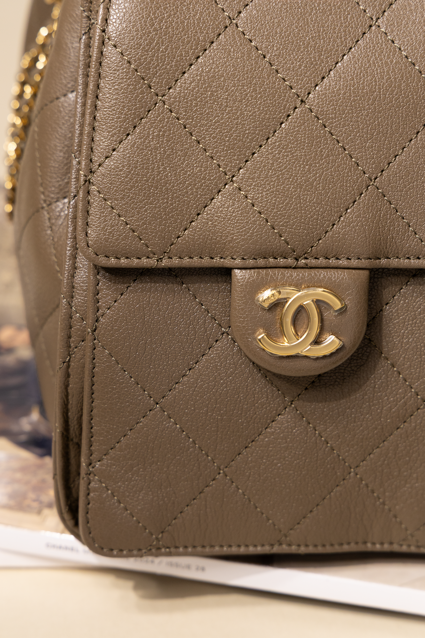 Chanel Small Hobo 25 Bag in Khaki