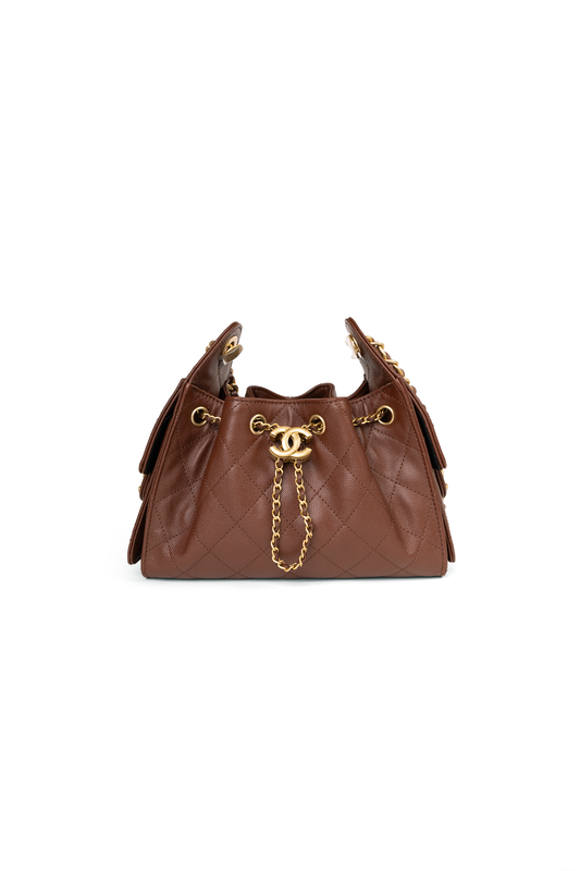 Chanel Mini Hobo 25 Bag in Brown