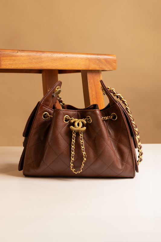 Chanel Mini Hobo 25 Bag in Brown