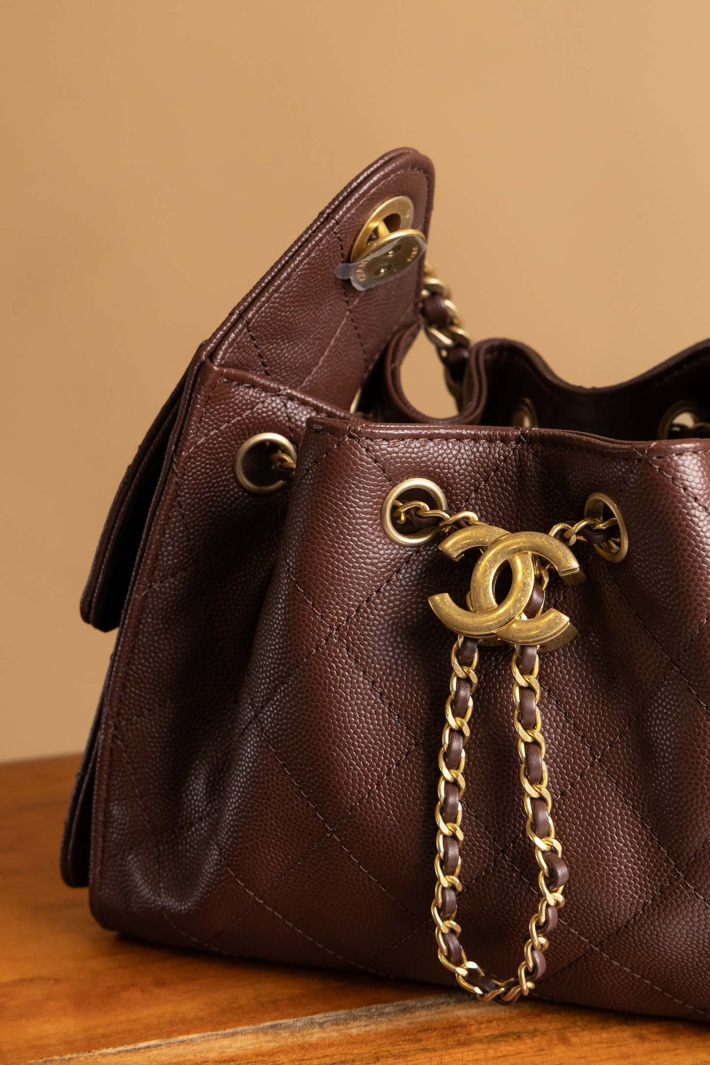 Chanel Mini Hobo 25 Bag in Brown