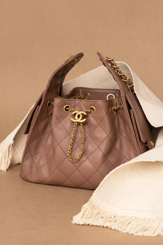 Chanel Small Hobo 25 Bag in Mocha