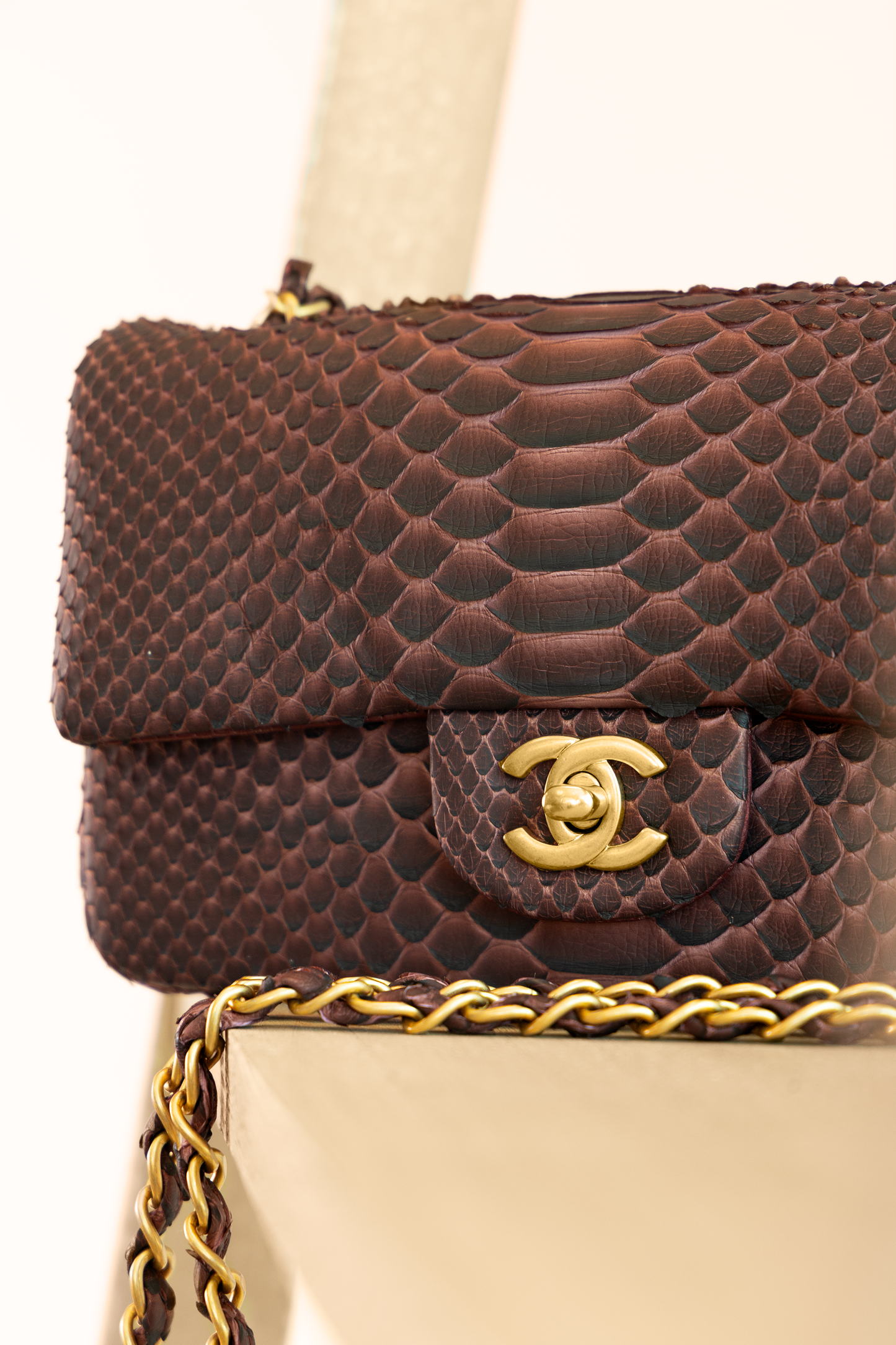 Chanel Mini Python Flap Bag in Burgundy