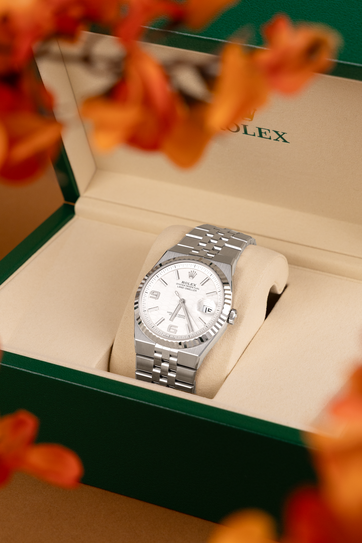 Rolex Land-Dweller 40MM Watch in Oystersteel & White Gold