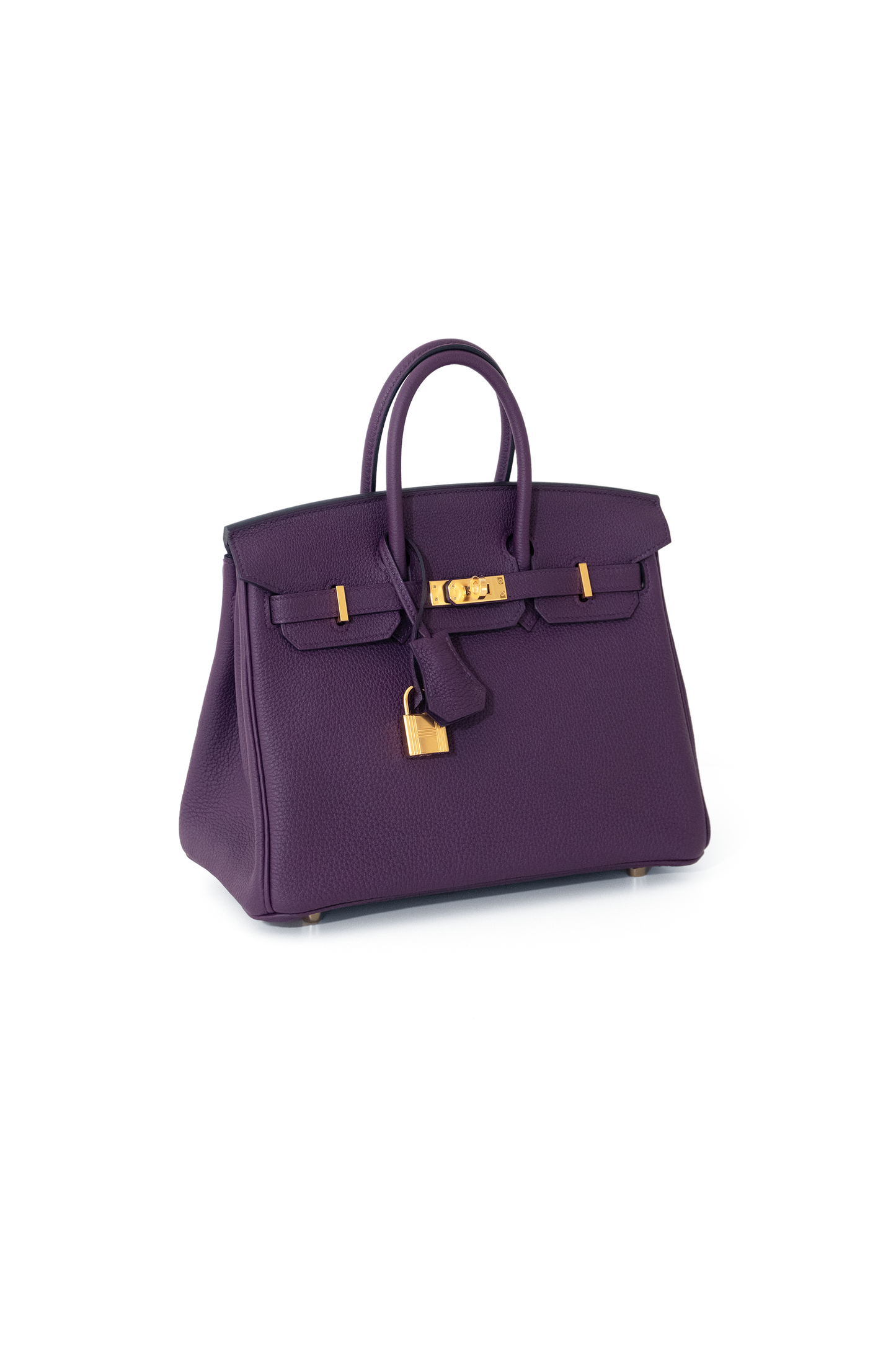 Hermès Birkin 25 Togo in Cassis GHW