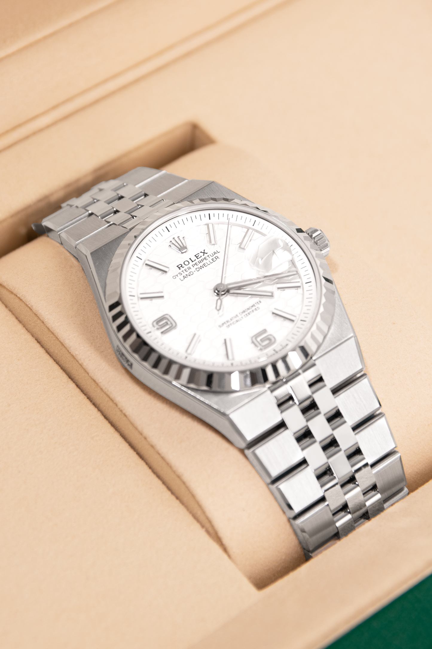 Rolex Land-Dweller 40MM Watch in Oystersteel & White Gold
