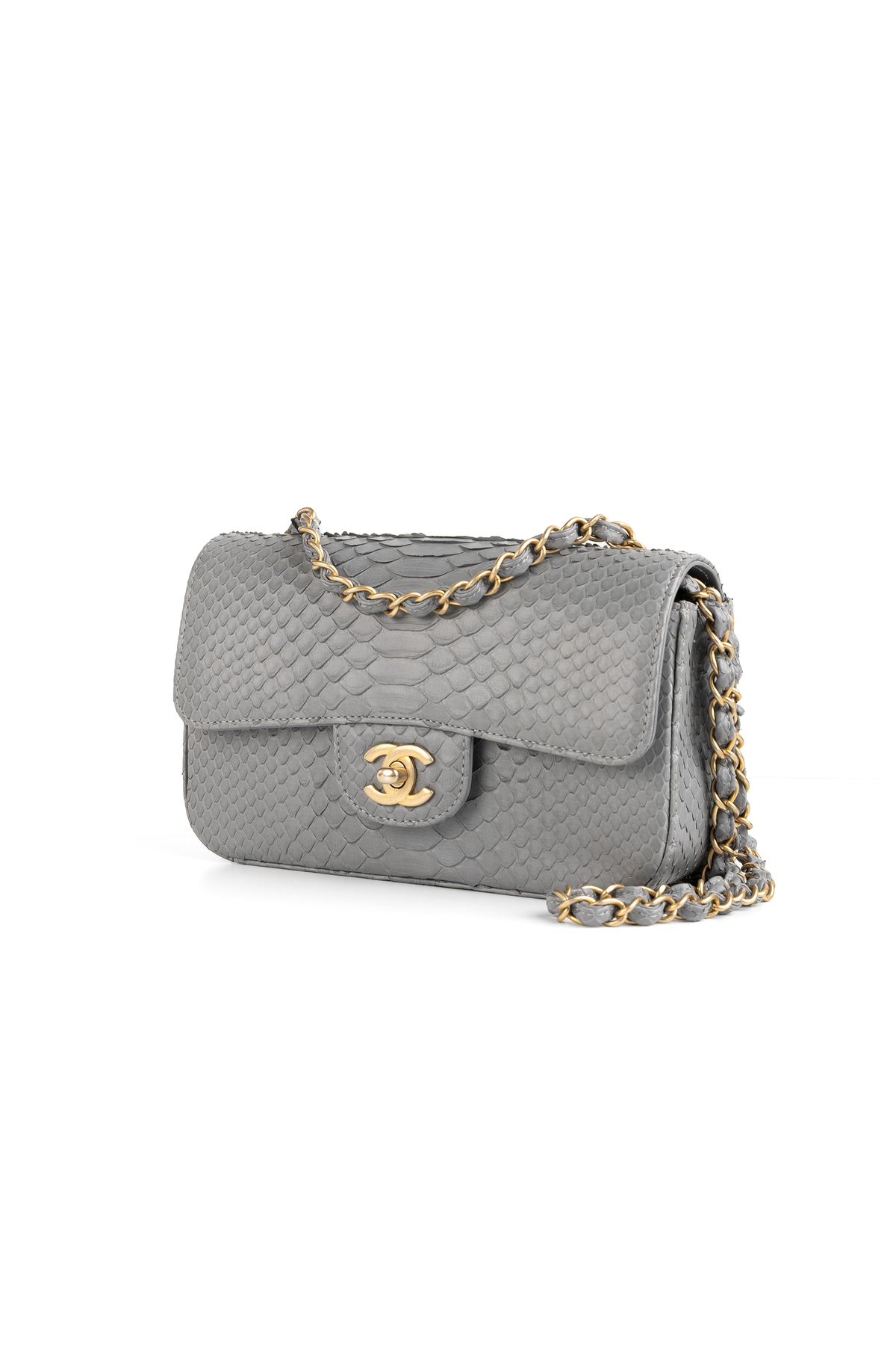 Chanel Mini Python Flap Bag in Grey